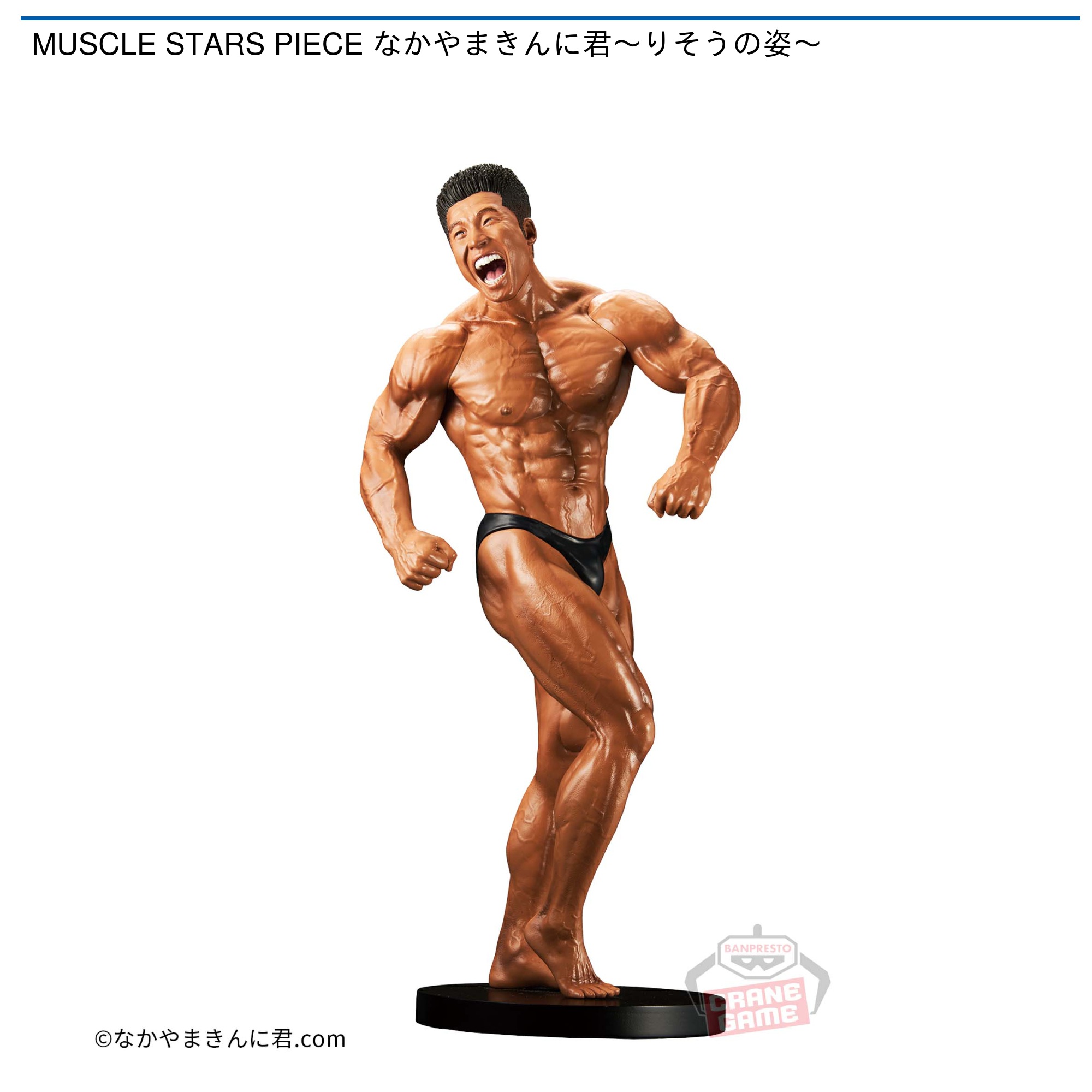 MUSCLE STARS PIECE なかやまきんに君～りそうの姿～